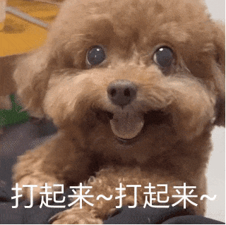 谷歌“狙击”OpenAI，发布新一代大模型！主打Agent+多模态