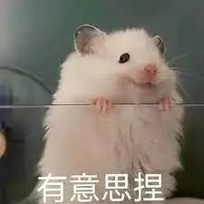 被玩疯的小红书 AI 翻译，用了哪家大模型？