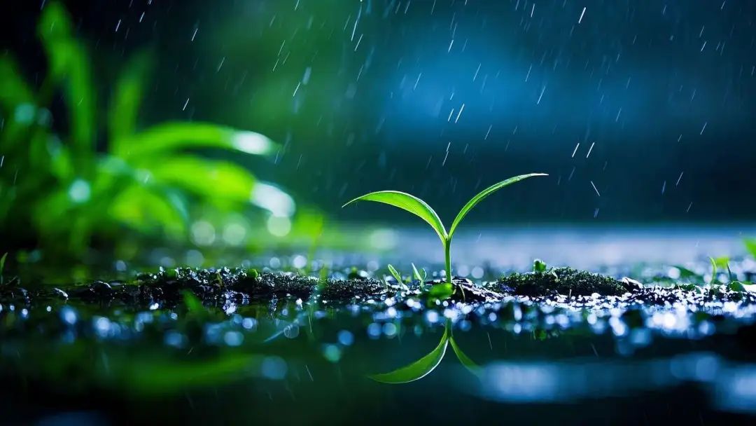 微信接入DeepSeek,你准备好了吗?