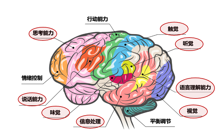 AI时代,哪种人更被需要?