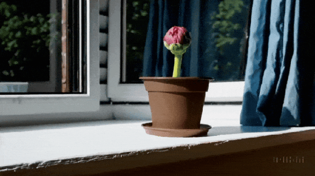 什么是AI“世界模型”?为何如此重要?