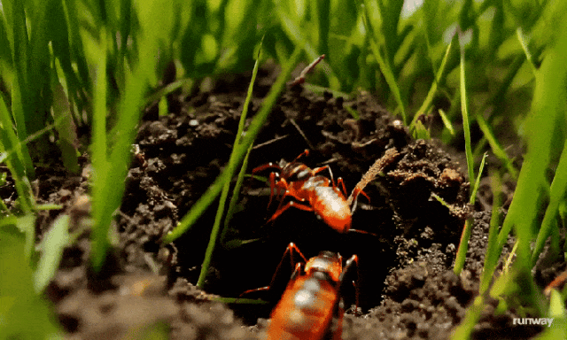 什么是AI“世界模型”?为何如此重要?