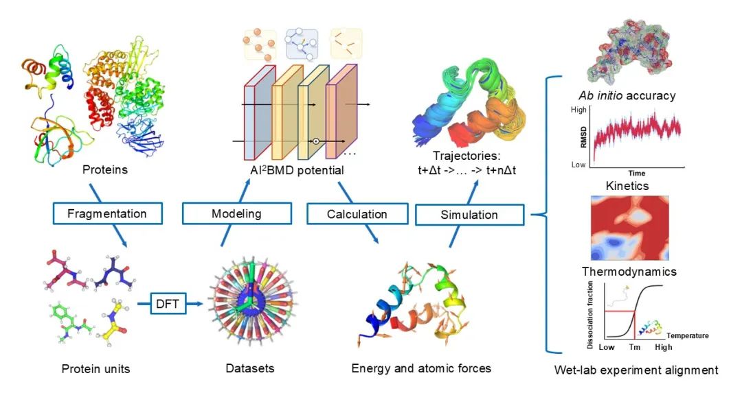 AI2BMD登上Nature,以量子级精度推进蛋白质动力学
