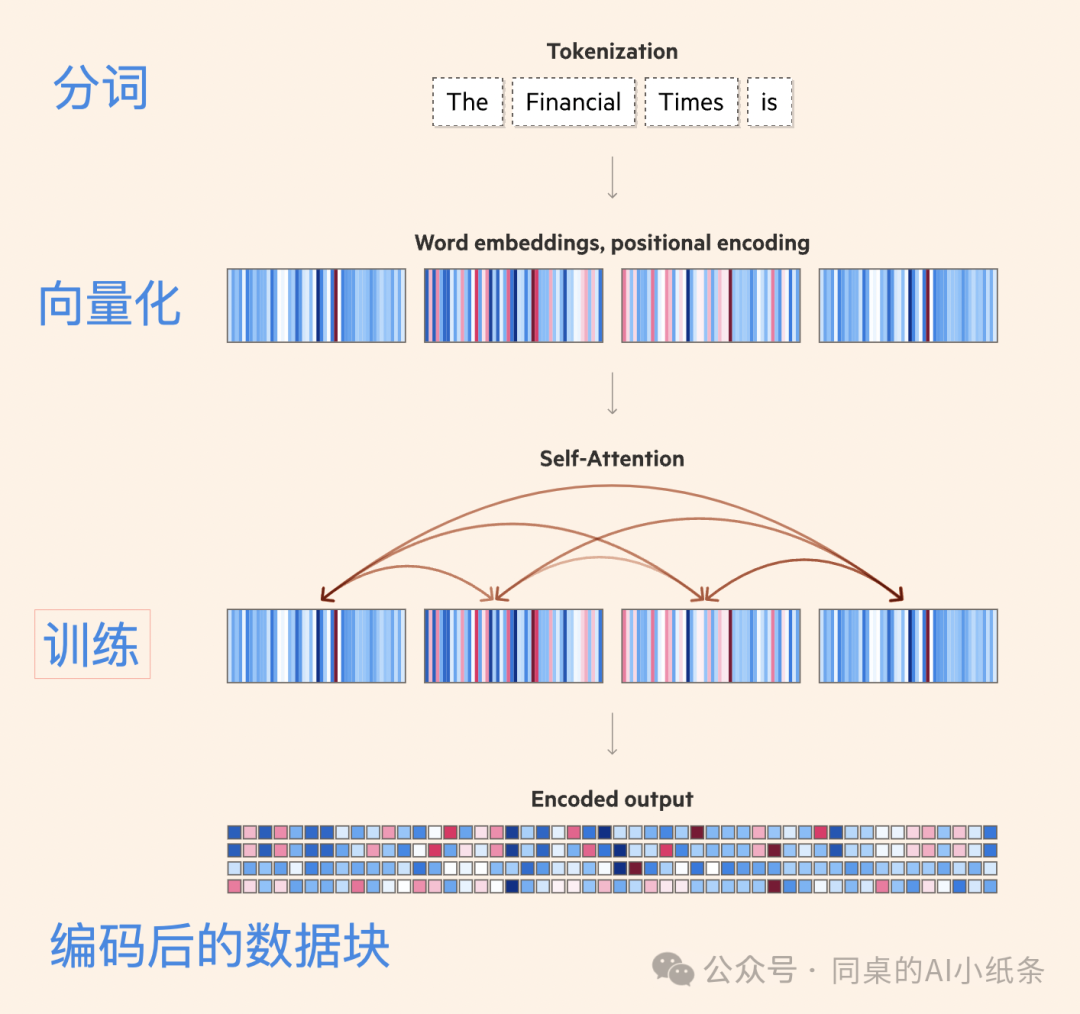 改变AI历史的Transformer是如何帮助LLM大模型工作的？看图解密Transformer原理，看不懂算我输！