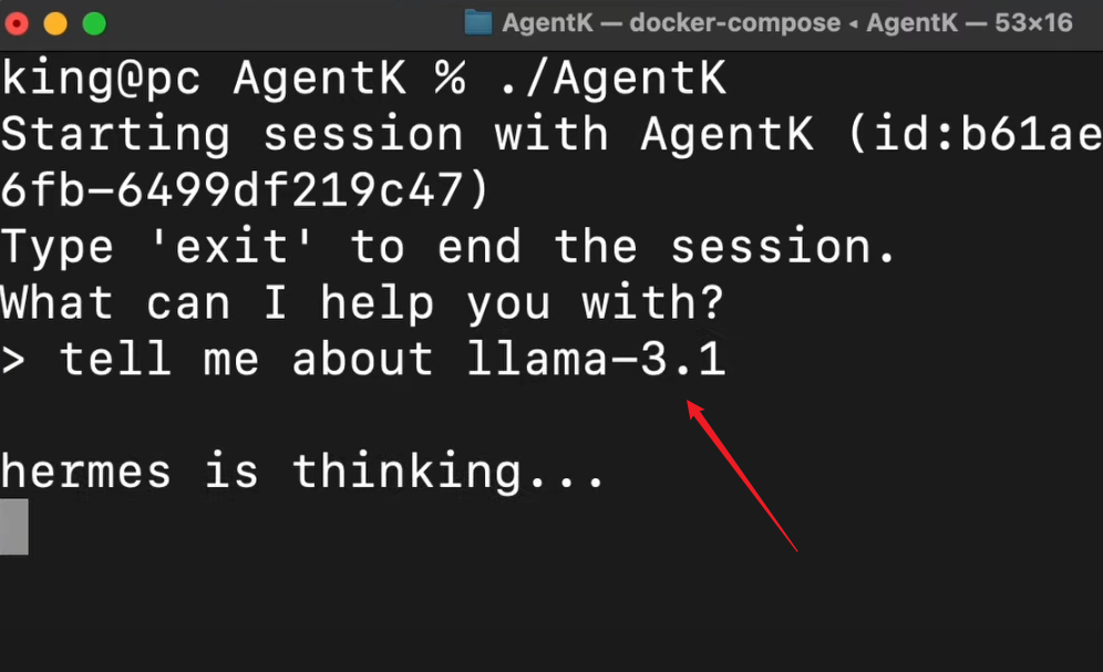 Agent-K:这个自我进化的 AI 代理可以做任何事情!(生成应用程序、代码、RAG 等)