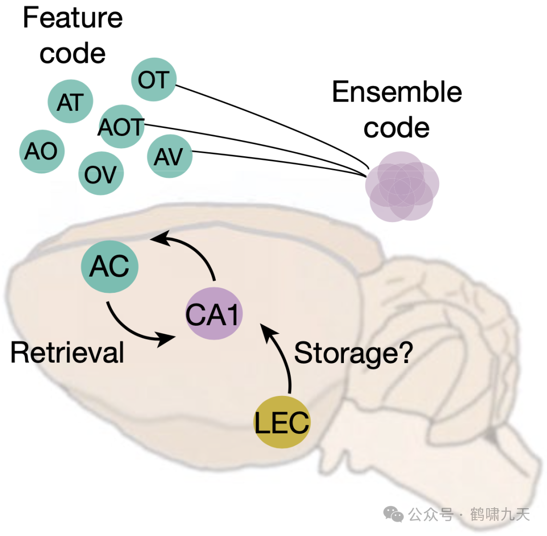 Agent技术解读：Memory记忆模块