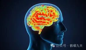 Agent技术解读：Memory记忆模块