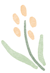 大模型到底是不是智能体的一部分?