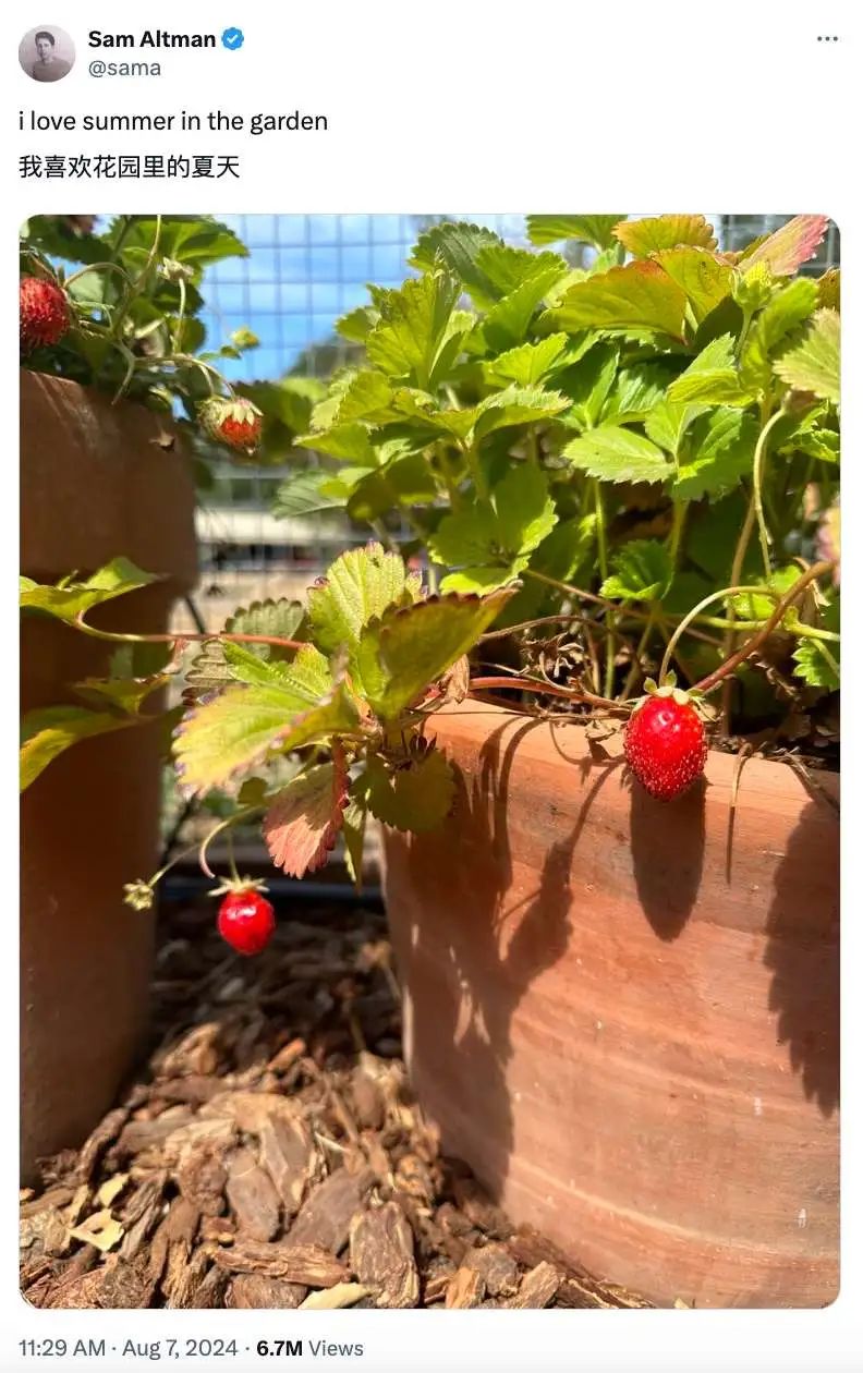 ChatGPT Pro都来了，ChatGPT Pro Max还会远吗？OpenAI草莓模型完全解读！