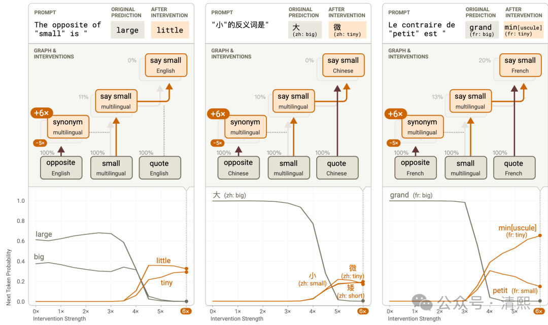 揭秘AI内部机制:AI理解的重大突破