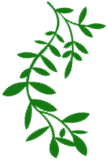 揭秘大模型的魔法:从零开始你的AI冒险