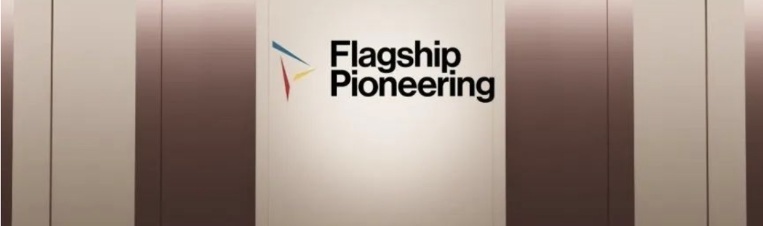 Exa:给 AI Agent 的 “Bing API”