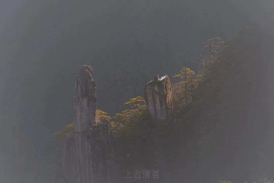 拨开MCP的迷雾,聊聊LLM工具调用的本质(一):Function Calling