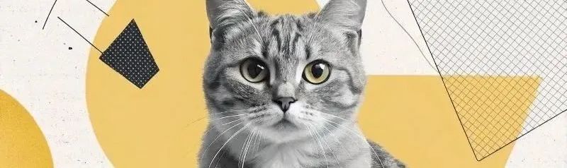 o3 深度解读:OpenAI 终于发力 tool use,agent 产品危险了吗?