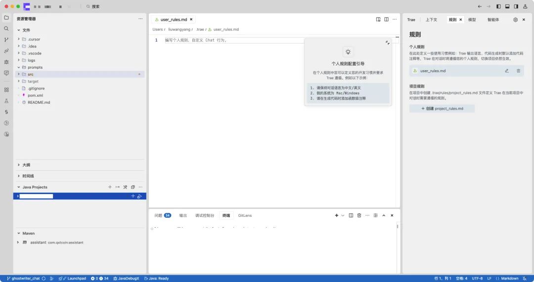 开通了 Trae Pro 终于可以开心地 Vibe Coding 了