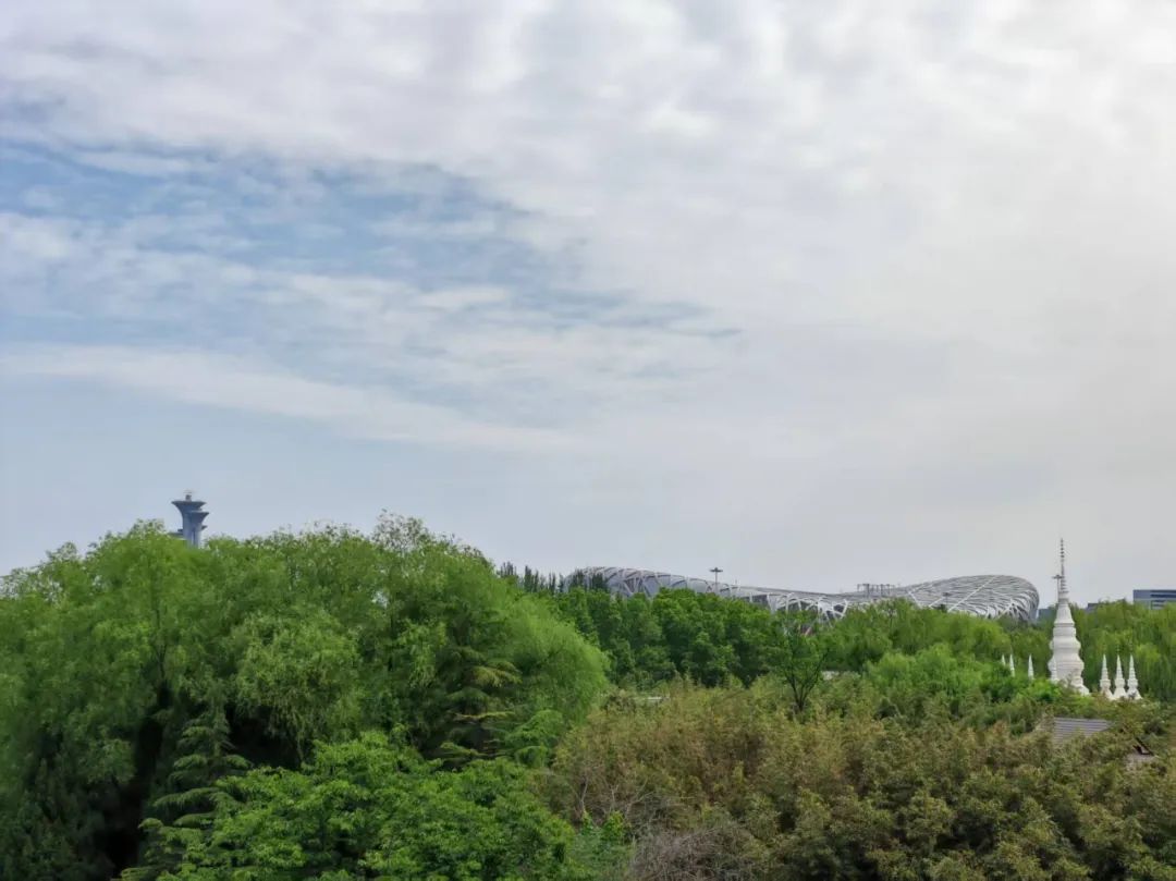 人工智能:AI大模型构建保险Agent全景应用