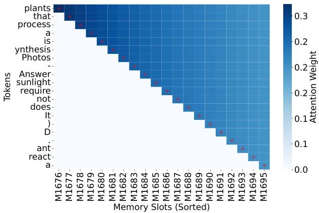 大模型是“死记硬背”还是“融会贯通”？新论文用“比特”丈量GPT记忆容量极限！