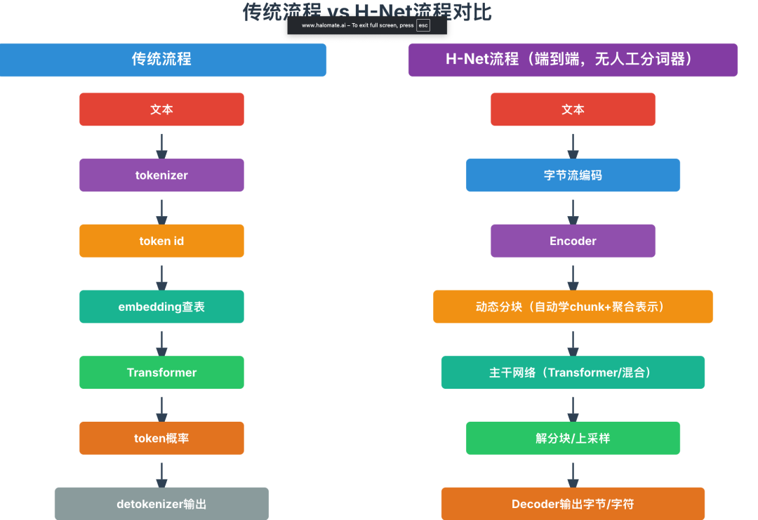 用Dynamic chunk去干掉tokenizer？